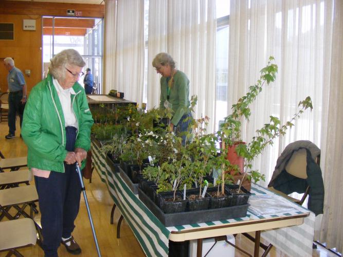 Plant sales.